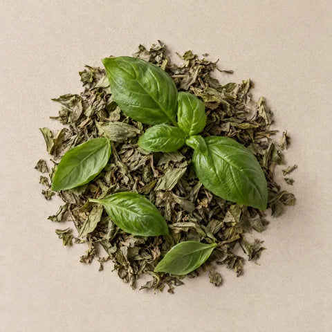 Fresh and dried basil leaves on pale stone
