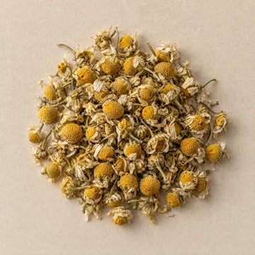 Dried chamomile flowers on pale stone