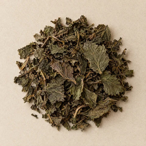 Dried patchouli leaves on pale stone