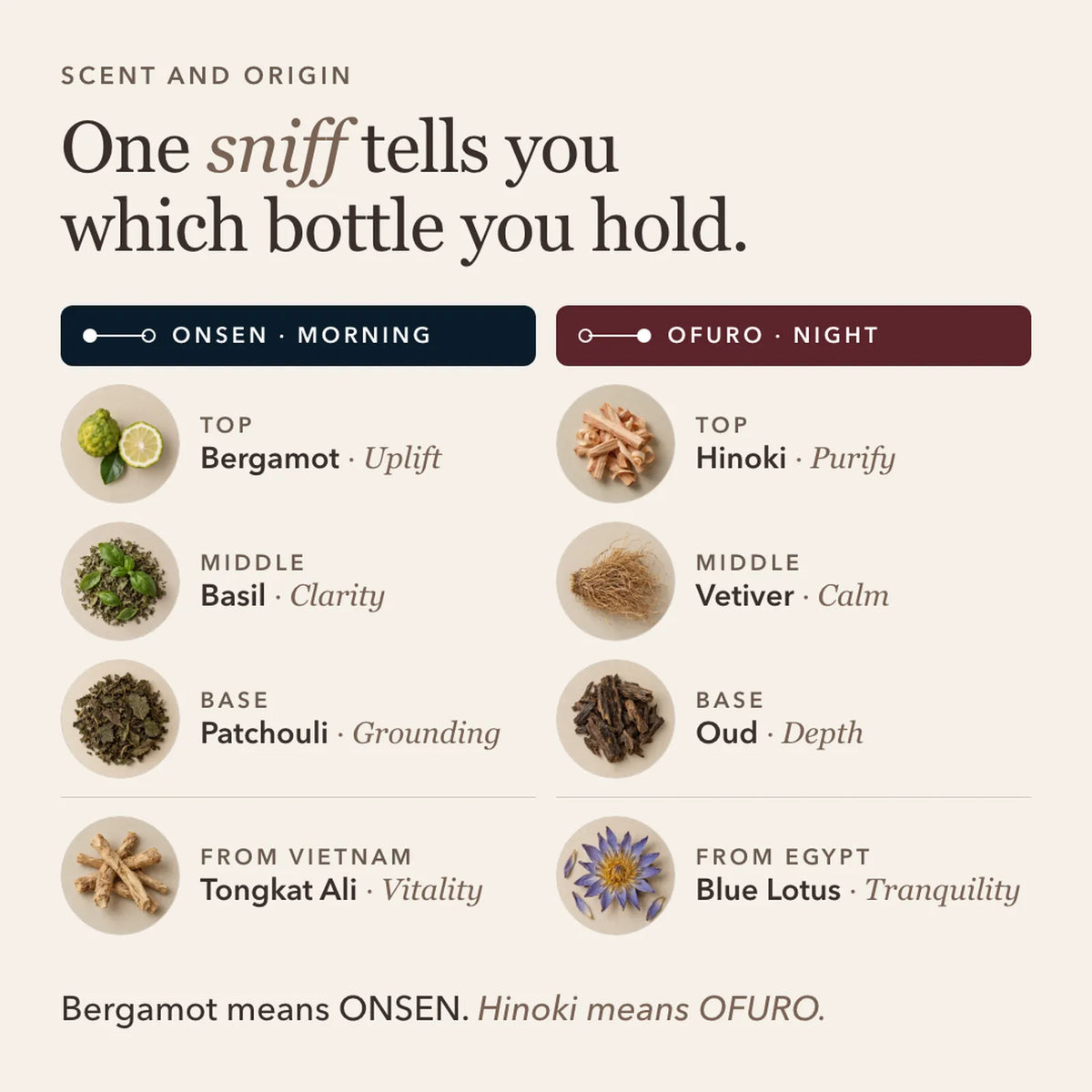 Scent and origin. One sniff tells you which bottle you hold. ONSEN, morning: top bergamot, uplift; middle basil, clarity; base patchouli, grounding; Tongkat Ali, vitality, from Vietnam. OFURO, night: top hinoki, purify; middle vetiver, calm; base oud, depth; Blue Lotus, tranquility, from Egypt. Bergamot means ONSEN. Hinoki means OFURO.