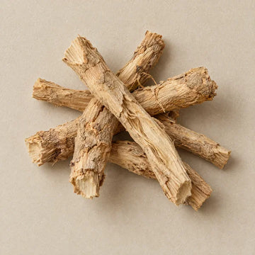 Dried Tongkat Ali root sticks on pale stone