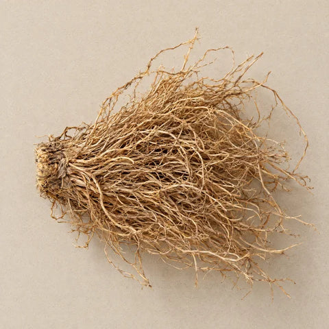 A bundle of dried vetiver roots on pale stone