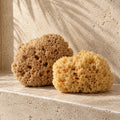 Two body scrubbers
